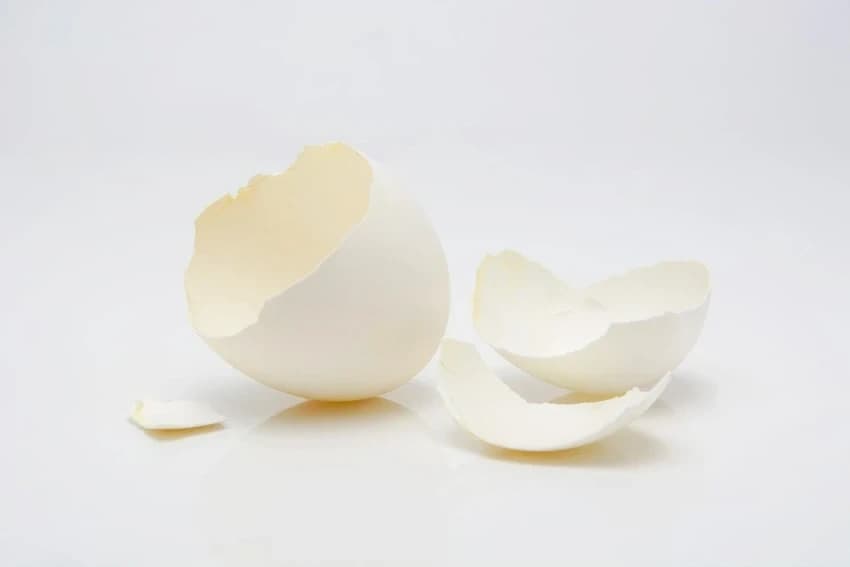 Eggshell Calcium Powder