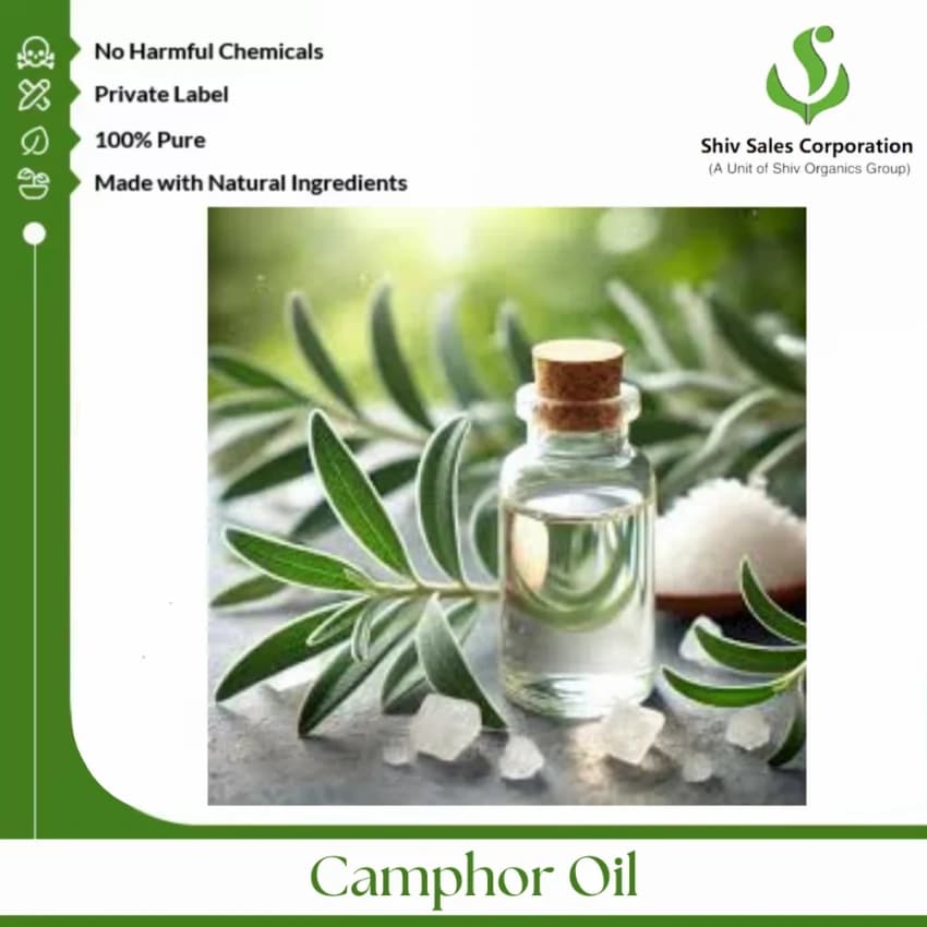 Cinnamomum Camphora Stem Distilled Camphor Essential Oil