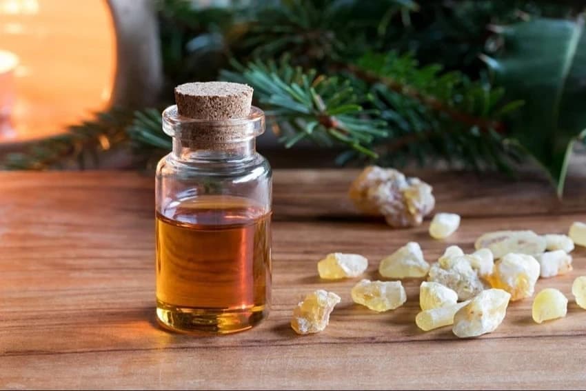 Camphor Essential Oil, 100% Pure