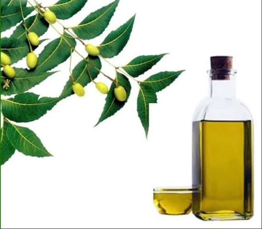 Delhiwala Liquid Emulsifier Oil, For Industrial, Packaging Type: HDPE Carboys