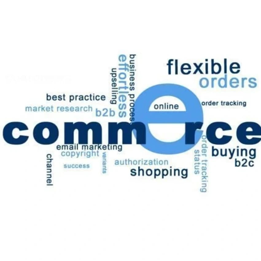 E-Commerce Application Development Service