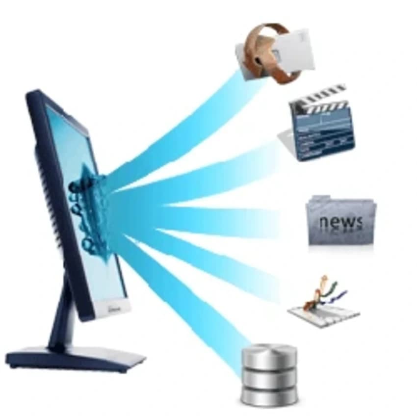 Portal Website Designing Service