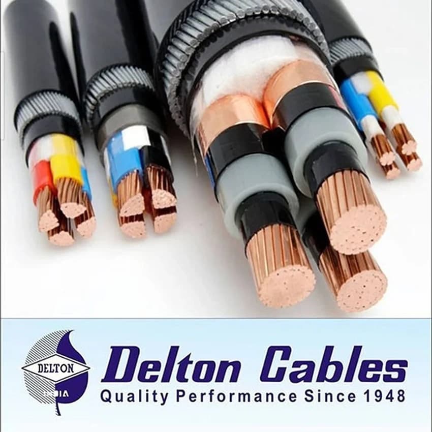 Delton Telephone Cable