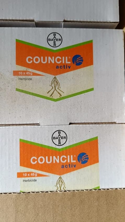 Council Active Bayer