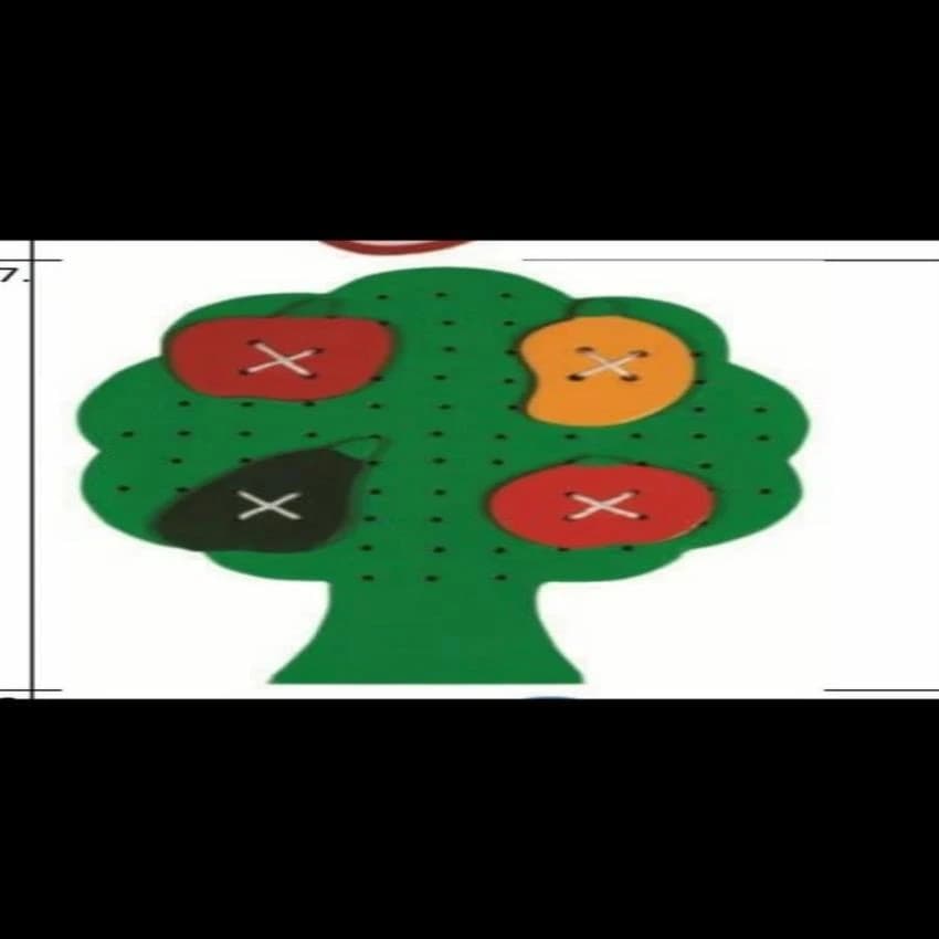 Mango Green Sewing tree & fruit, For Fruits