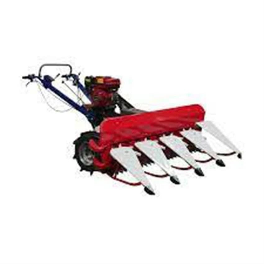 Wheat XTRA POWER AGRICULTURE REAPER, Power: 7 HP