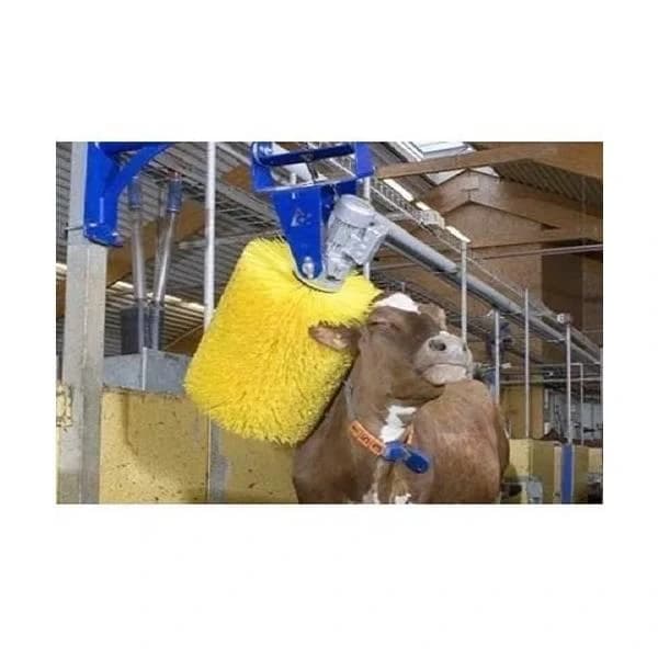 Automatic Cow Brush