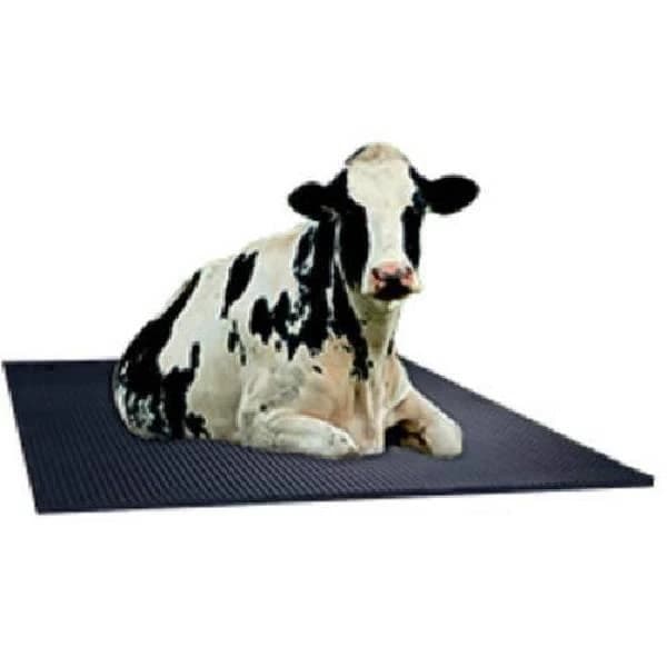 Plain Rubber Cowmat