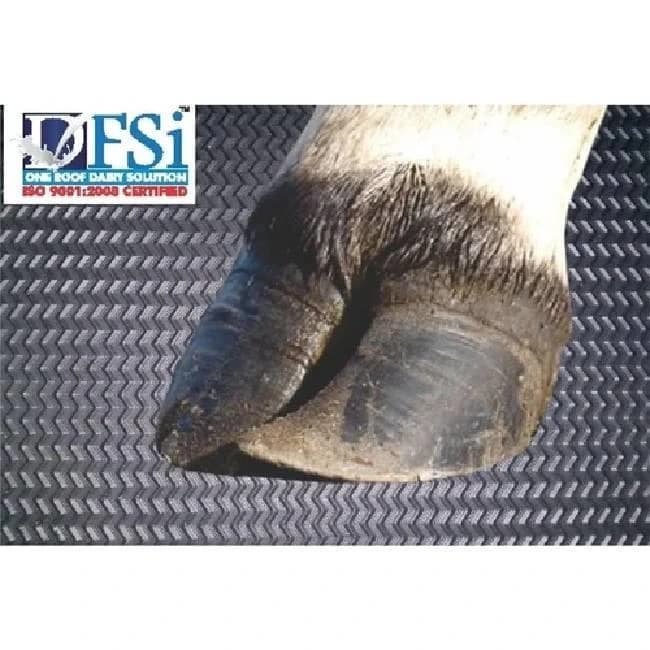 Rubber Cow Mats