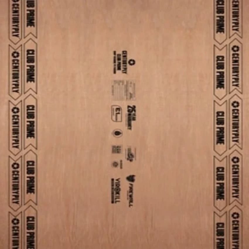 Centuryply 710 Plus Bwp Marine Plywood, Thickness: 19mm