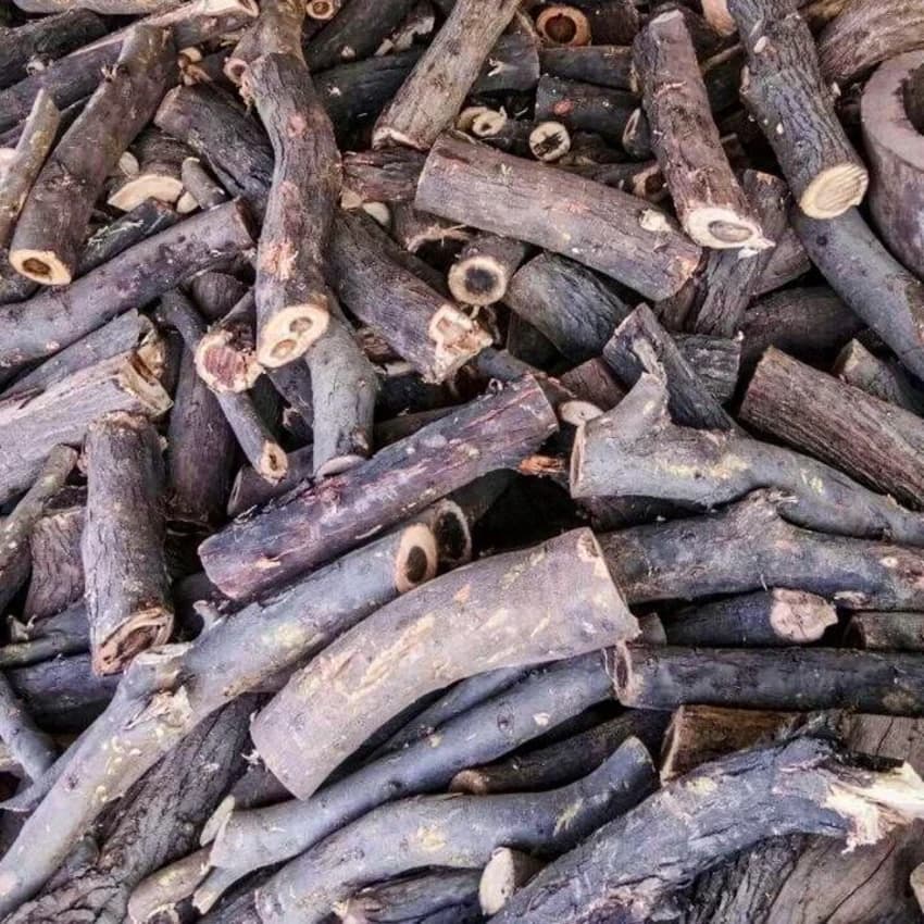 Babul Kikar Jalau Lakdi Logs