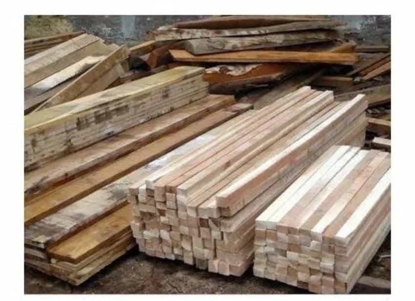 Safeda Wood Plank