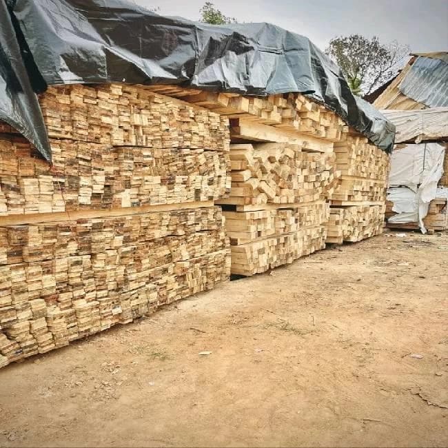 Pine Wood Planks
