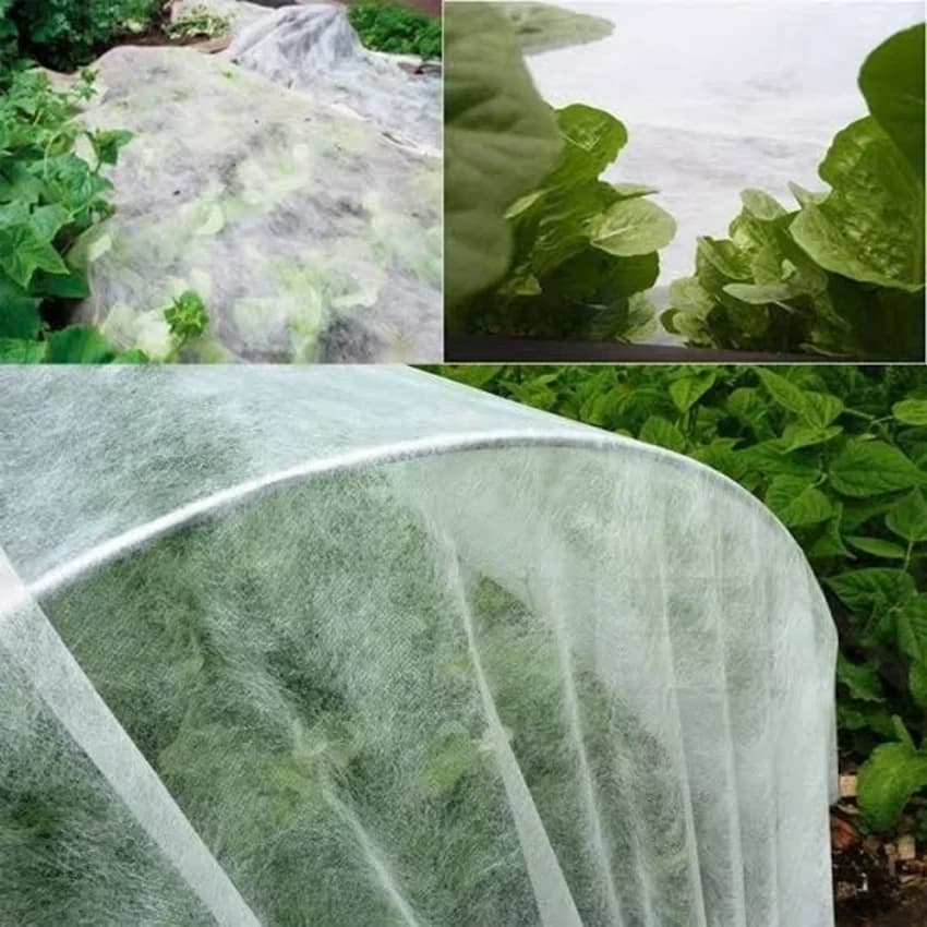 Polypropylene UV Protected 100% PP Spun Bonded Agriculture Non Woven Fabric, Packaging Type: Roll