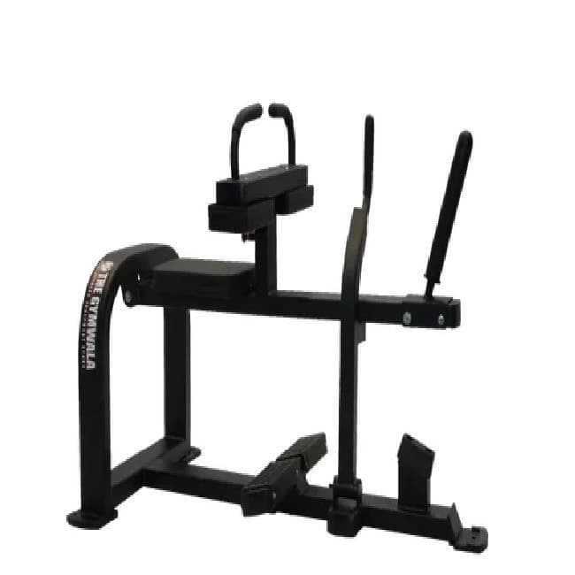 Seated Calf Machine