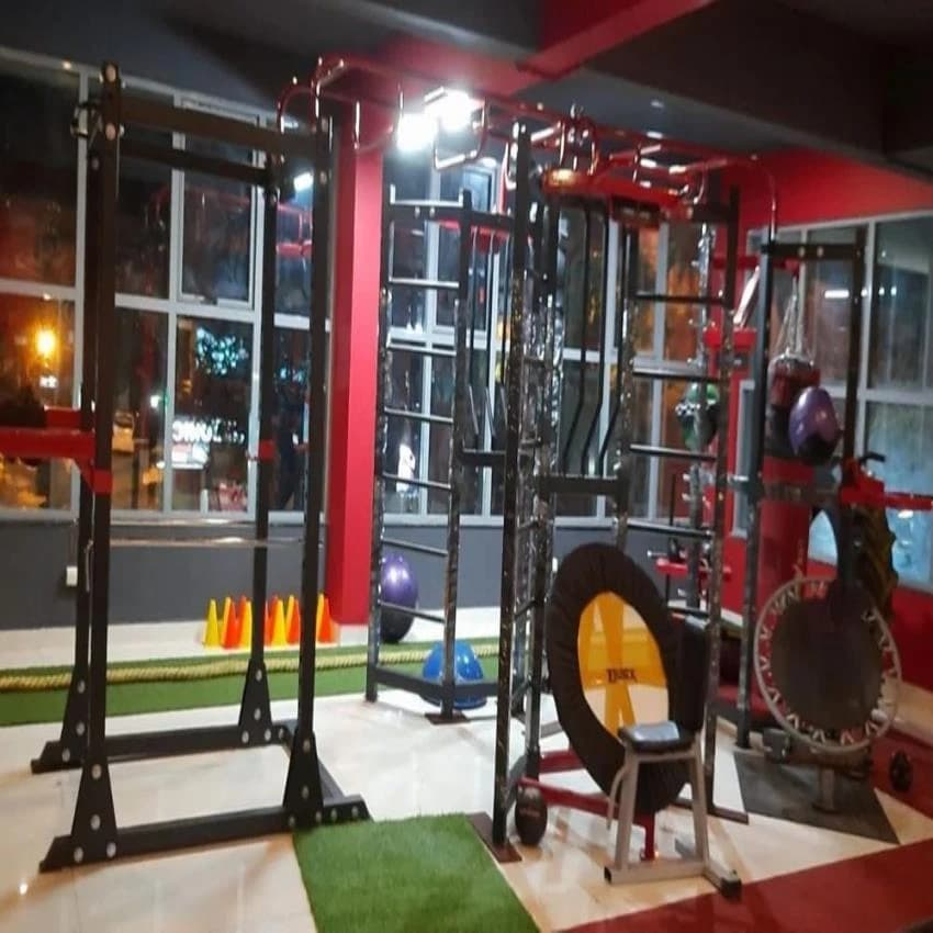 Chest Commercial Cross Fit Machine, For Gym, Weight: 250 Kg