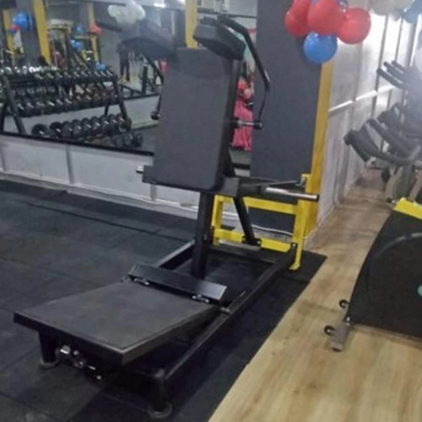 Hack Squat Machine, For Gym