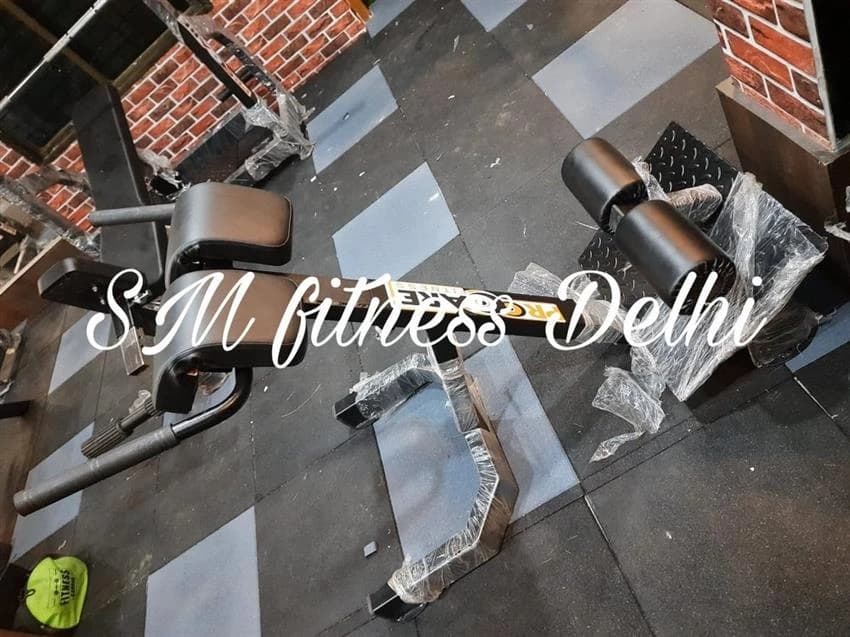 Black 3 Feet Adjustable Hyper Extension, For Gym, 60 Kgs