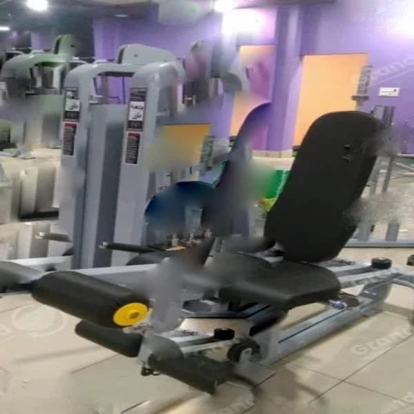 Leg Extension Plus Leg Curl Gym Exercise Machine