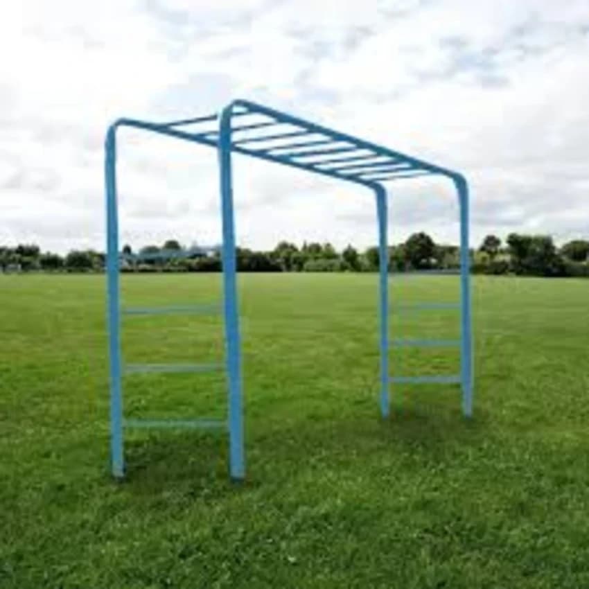 Playground Bridge Ladder
