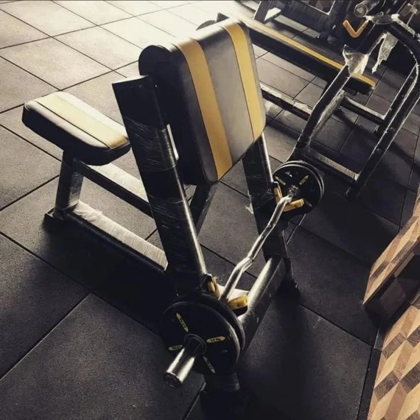 Preacher Curl Bench, Usage/Application: Gym