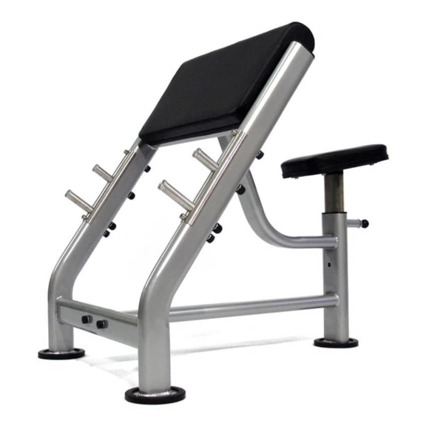 Silver MS Curl Bench, For Gym