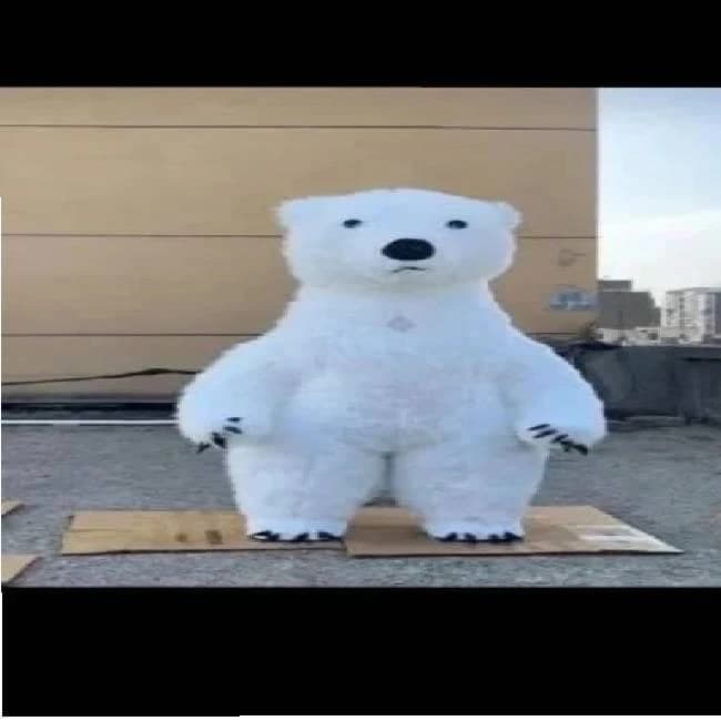 Cartoon Character Costume