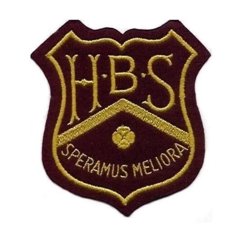Brown,Blue etc. Embroidered Woven School Badge, For Promotion