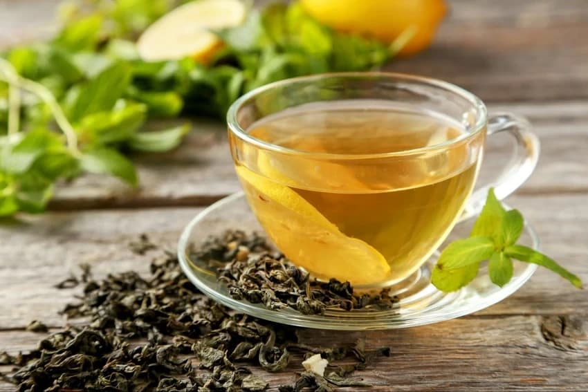 Green Tea Extract
