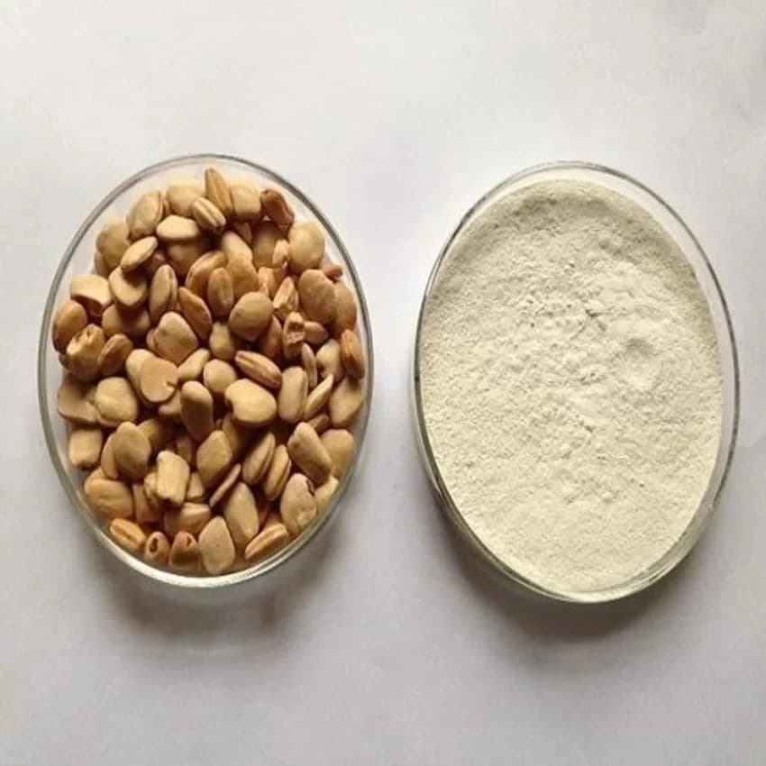 B Grade Tamarind Seed Powder, Packaging Type: Loose, Packaging Size: 5 kg