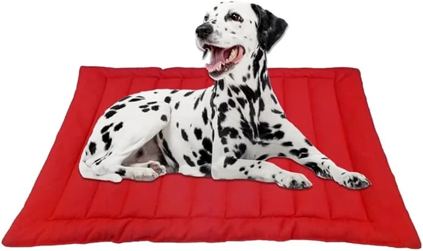 Dog Rubber RABBER PET MAT, For Home Purpose