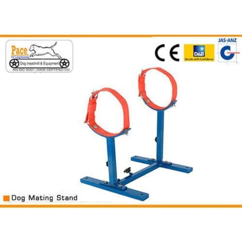 Dog Mating Stand