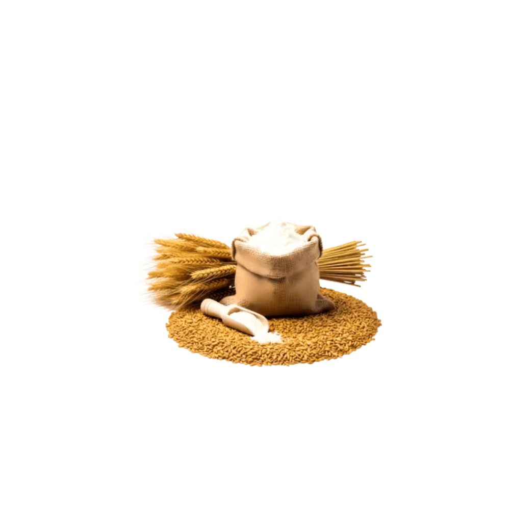 Flour Mill