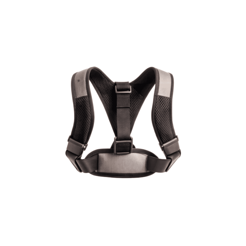 Back Support Belts