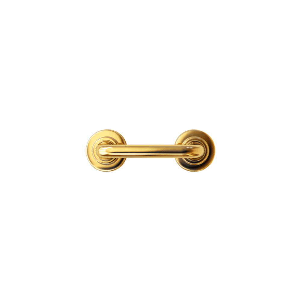 Brass Door Handle