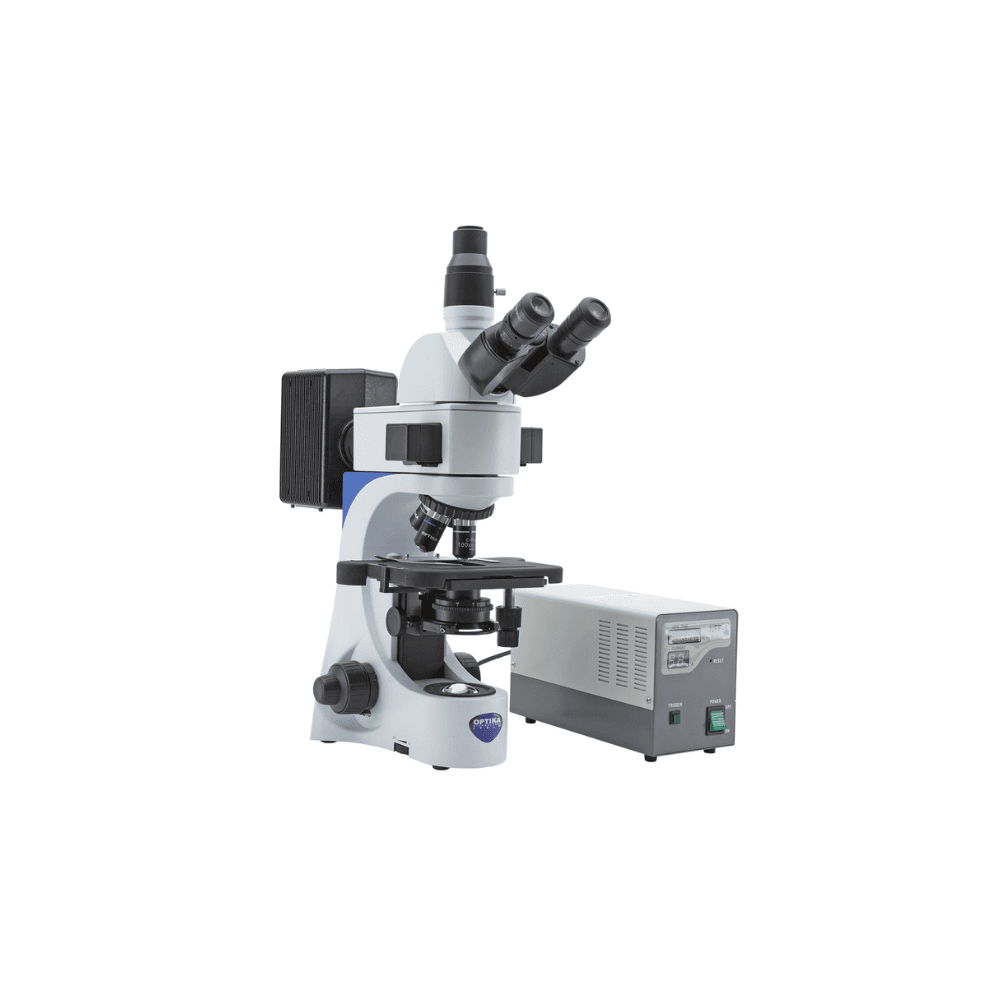 Fluorescent Microscope