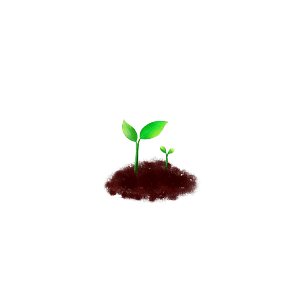 Seed Germinator