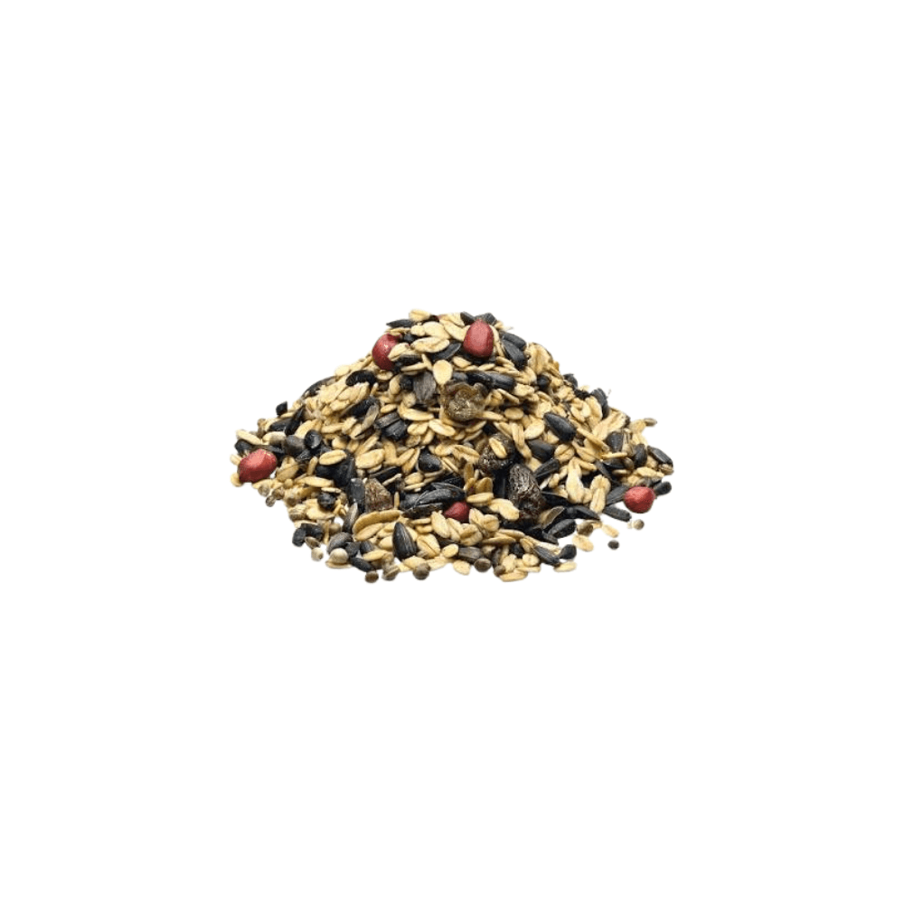 Bird Food