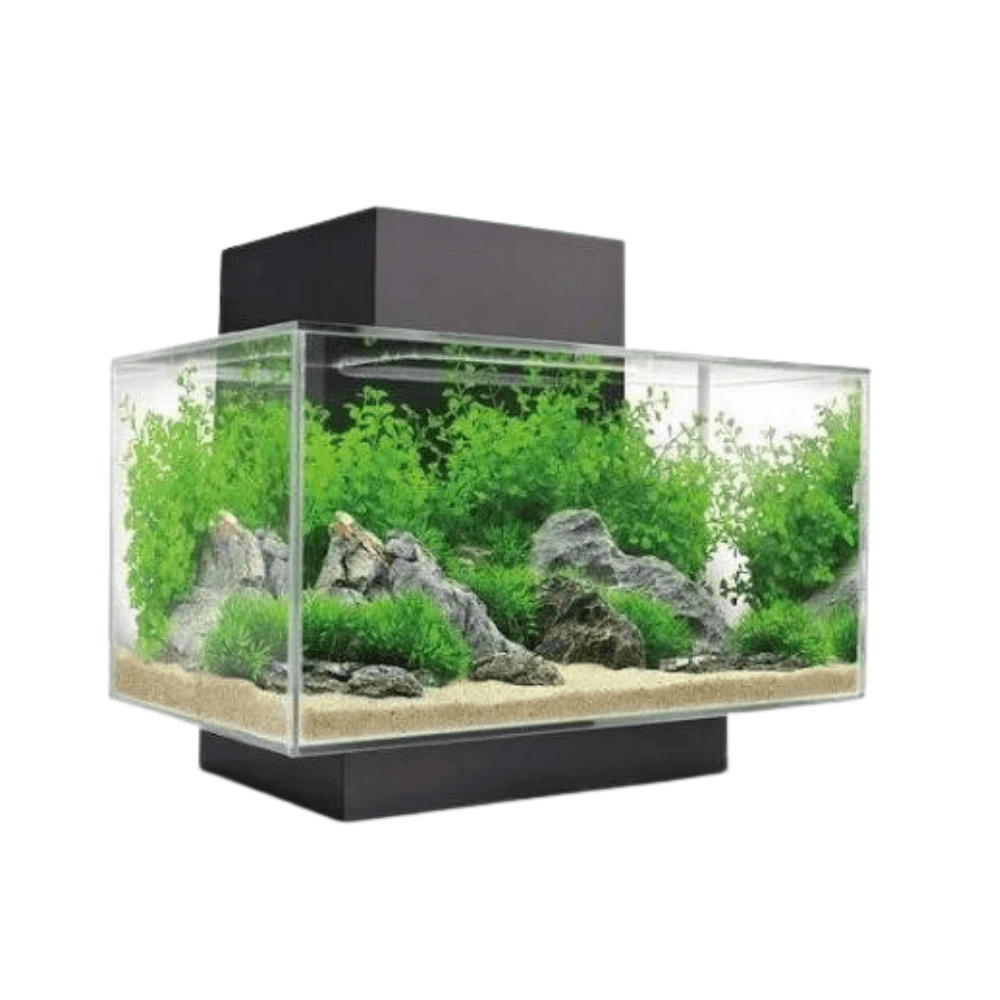 Acrylic Aquarium