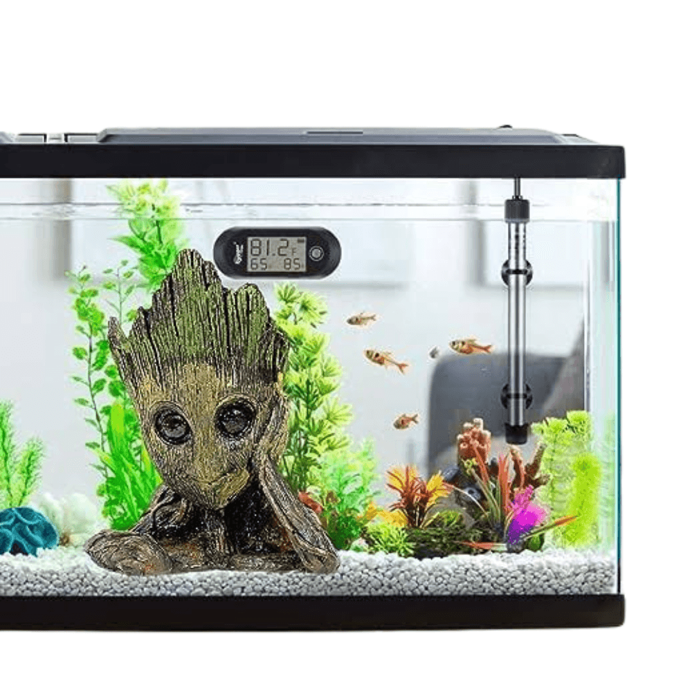 Aquarium Decoration