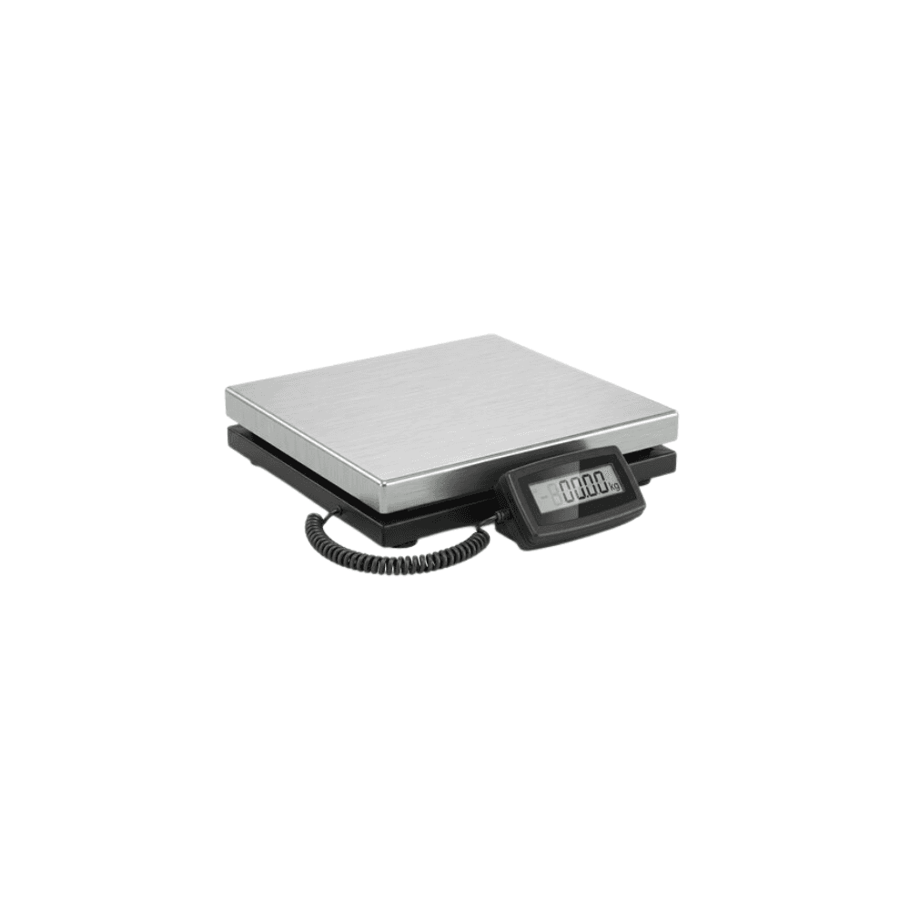 Heavy Duty Platform Scale