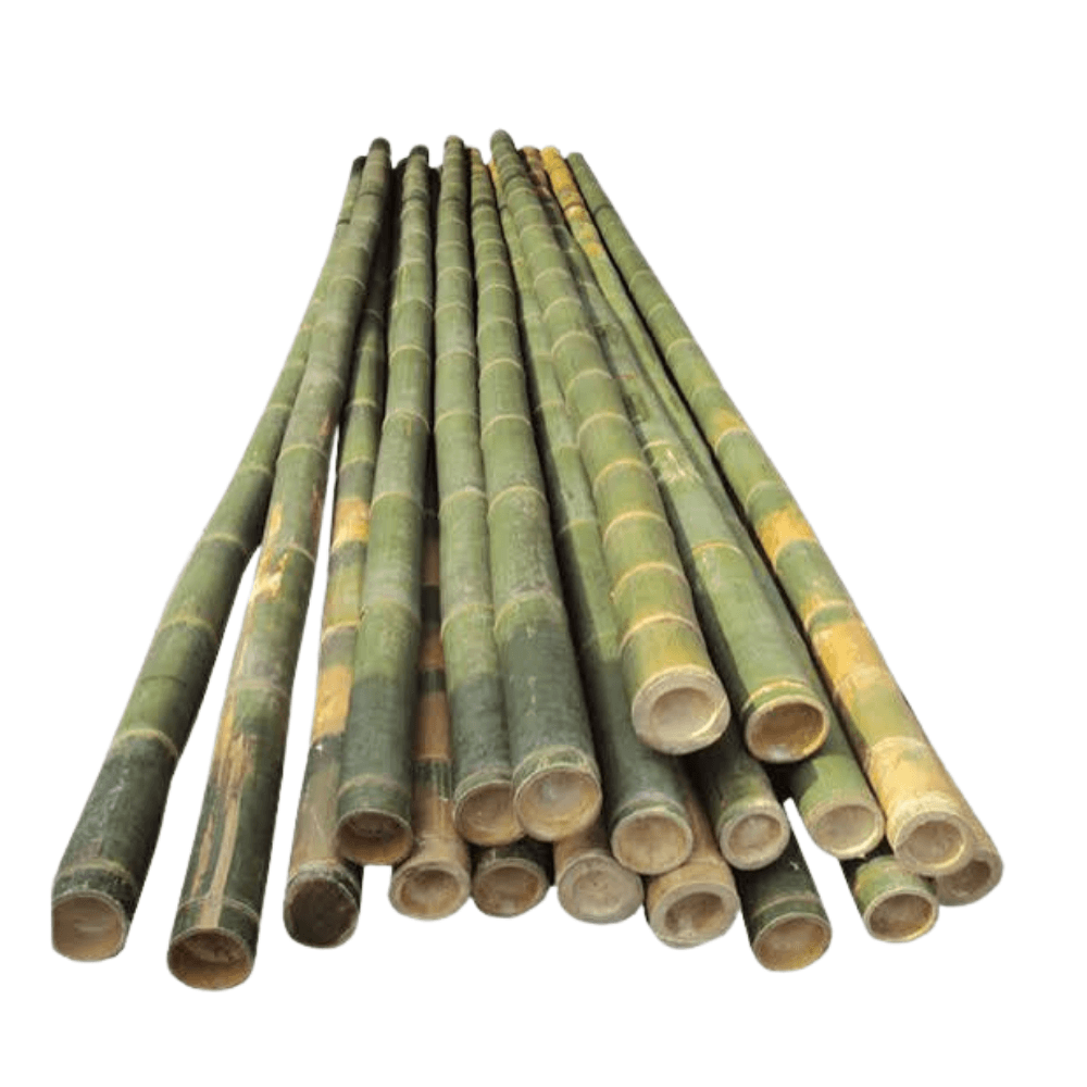 Bamboo Pole