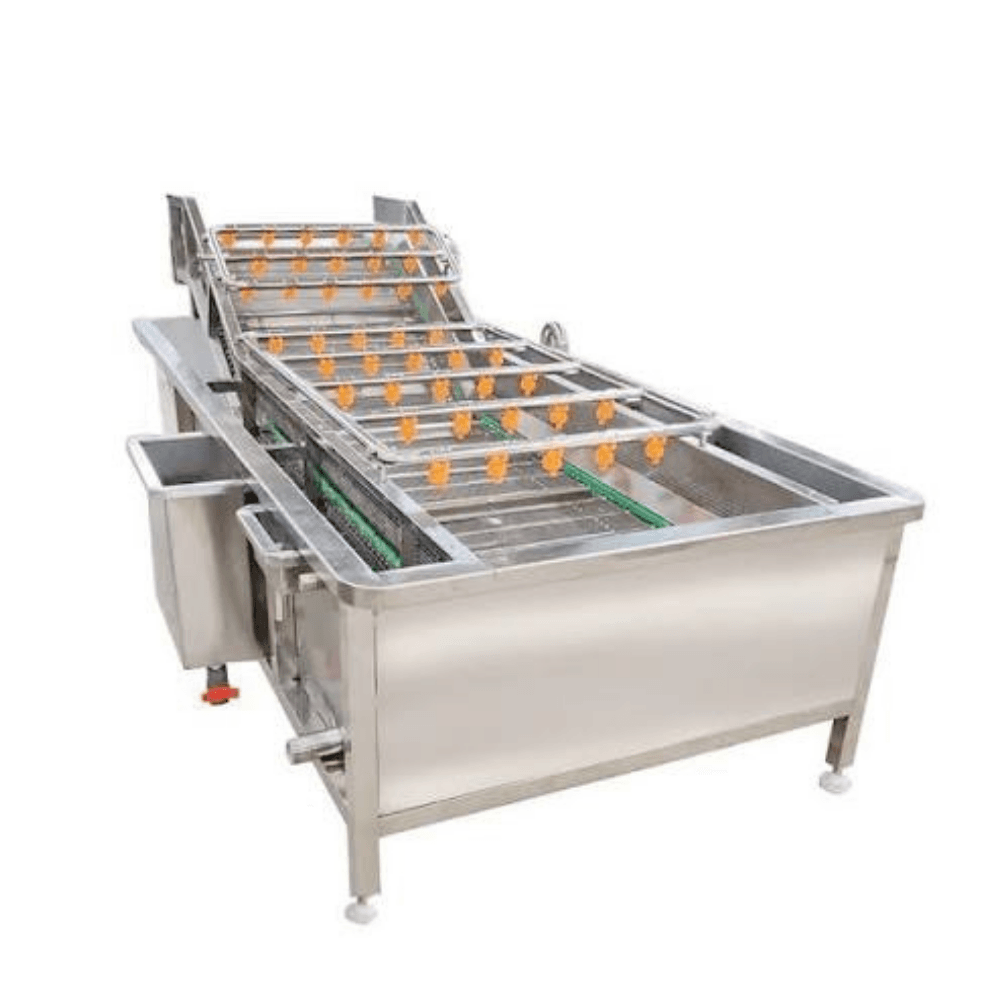 Fruit Washer Machine