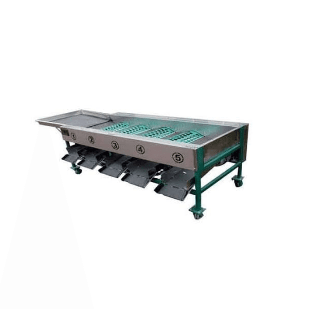 Fruit Sorting Machine