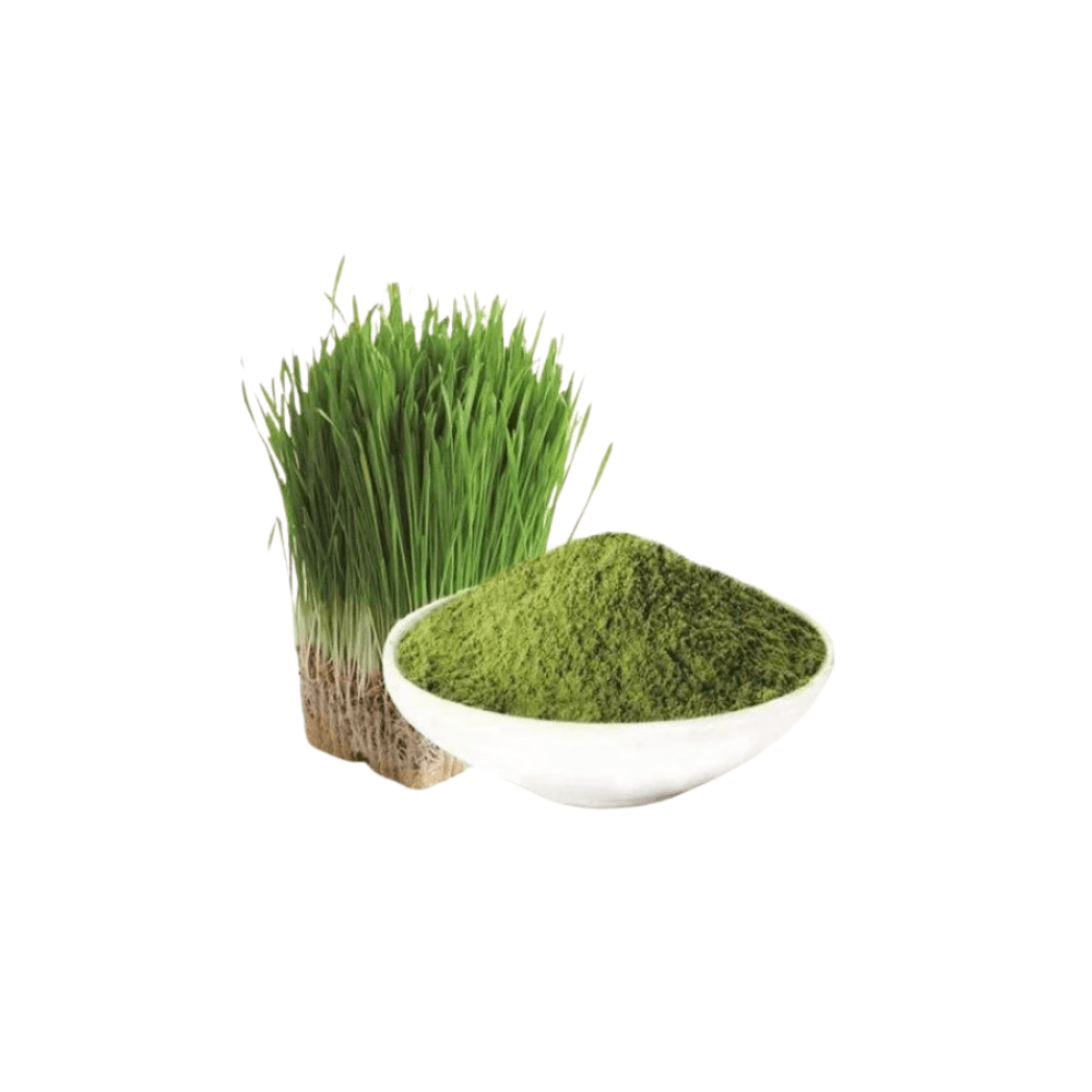 Barley Grass Powder