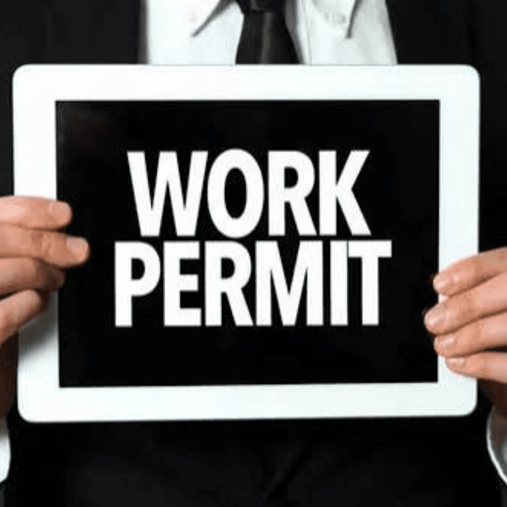 Work Permit Service