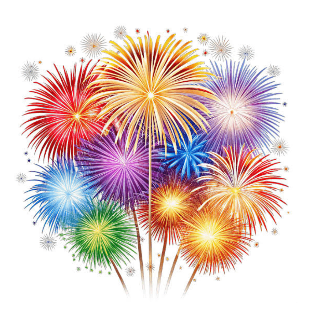 Fireworks Service