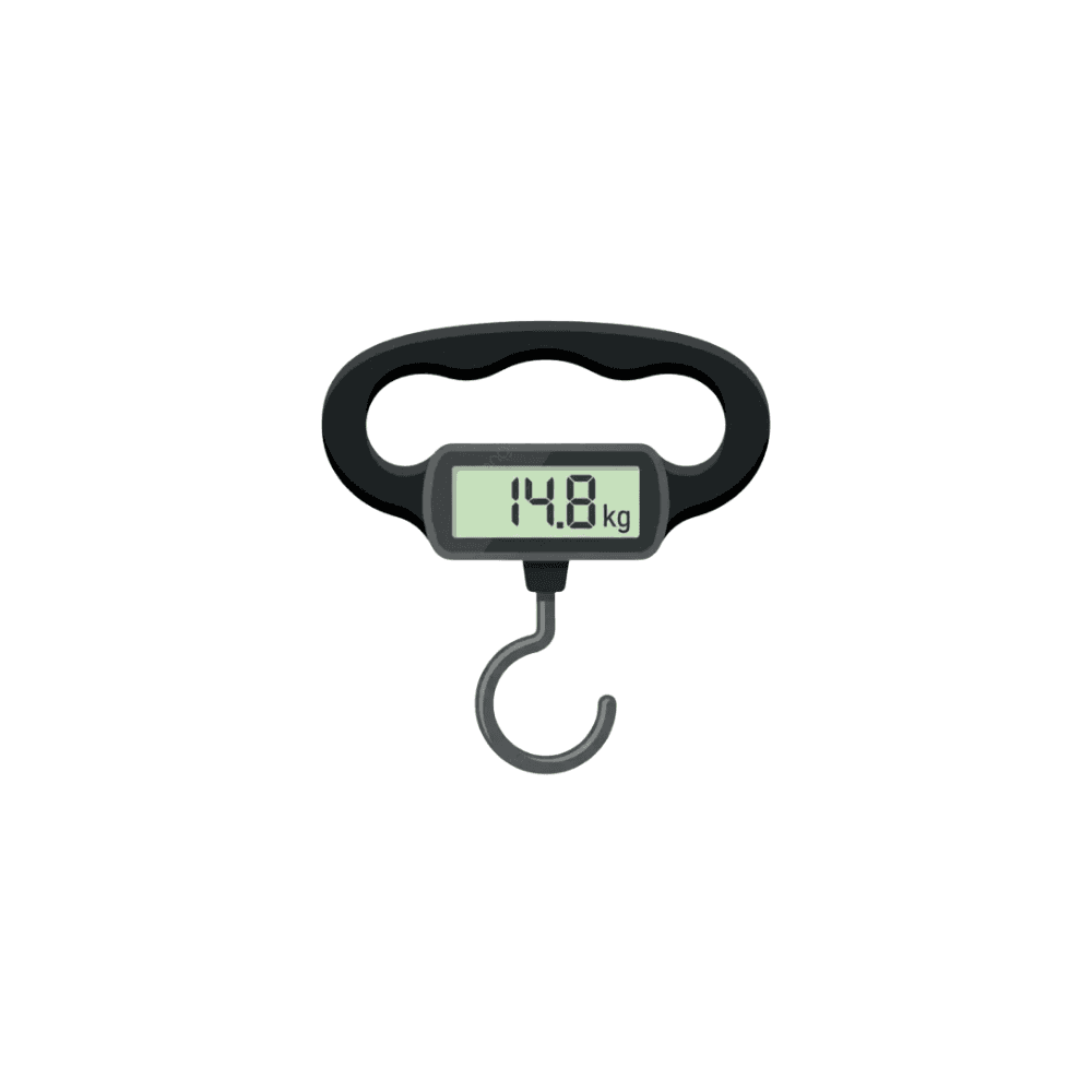 Electronic luggage Weighing Scale