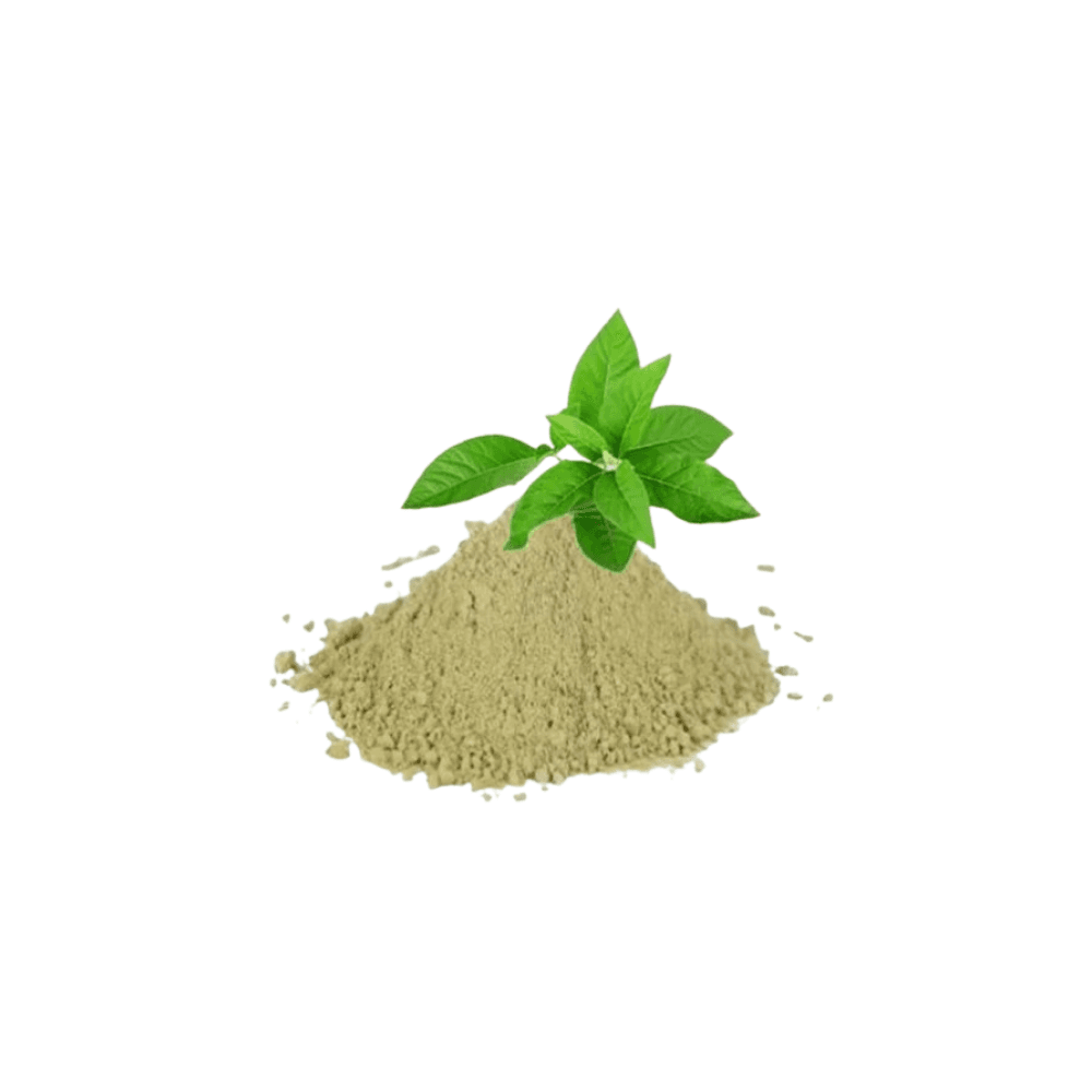 Kalmegh Extract