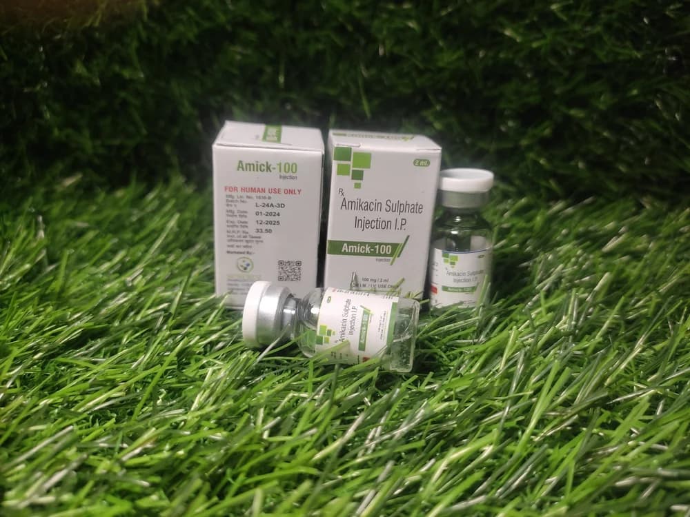 Amikacin 100 Mg Inj